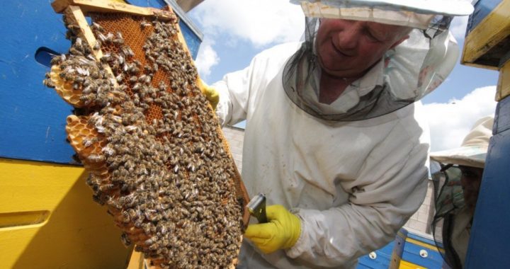 ДО ВІДОМА МЕШКАНЦІВ НАСЕЛЕНИХ ПУНКТІВ ВІТОВСЬКОГО РАЙОНУ!