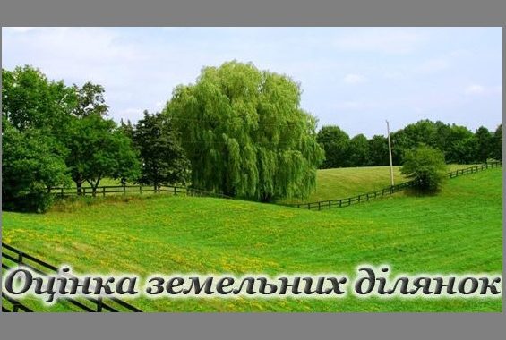 Увага! Оголошується конкурс з відбору суб’єктів оціночної діяльності з проведення робіт щодо експертної  грошової оцінки земельної ділянки