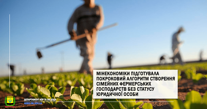 ЩОДО СТВОРЕННЯ СІМЕЙНИХ ФЕРМЕРСЬКИХ ГОСПОДАРСТВ