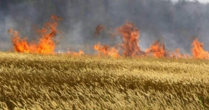 Пам’ятка. Недопущення пожеж в АПК-1