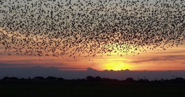 Про дотримання вимог природоохоронного законодавства