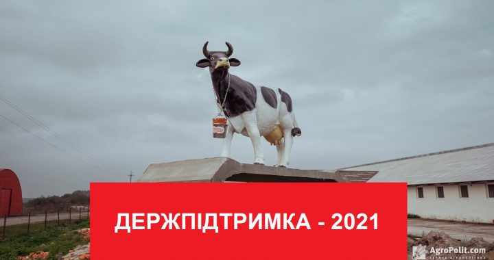 Інформаційна довідка