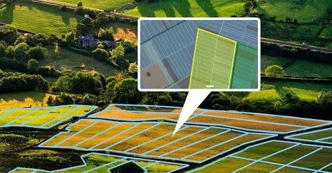 Головне управління Держгеокадастру у Миколаївській області закликає власників земельних ділянок та орендарів перевірити відомості про свої земельні ділянки