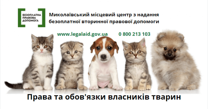 Права та обов’язки власників тварин