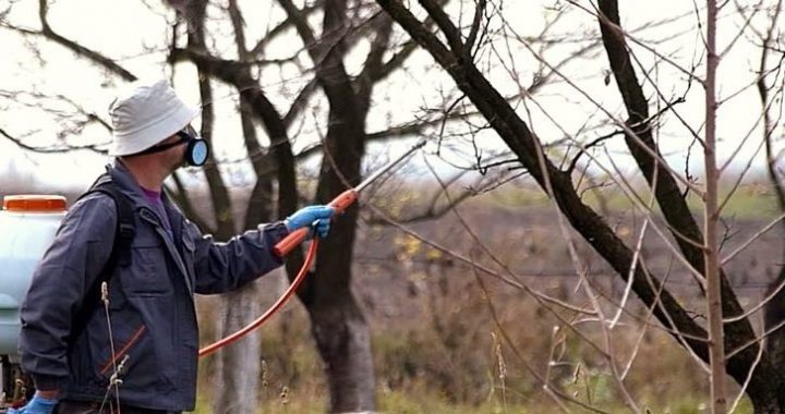 Пам’ятайте при роботі на присадибній ділянці