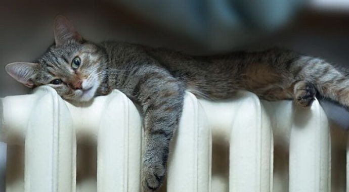 Поради від Мінрегіон: Що робити, якщо зникло опалення?