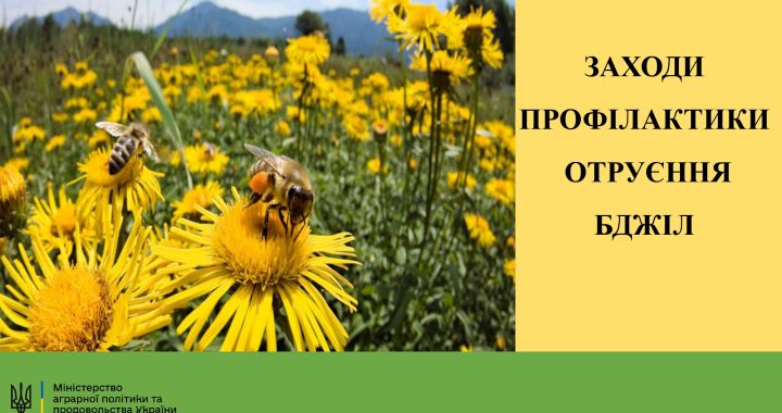 Заходи профілактики отруєння бджіл