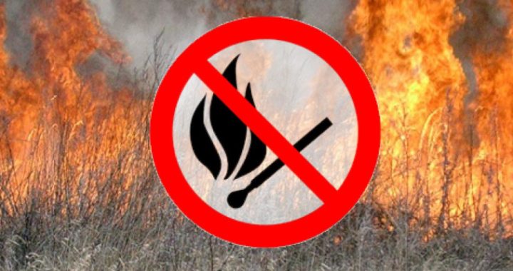 Спалювання сухої трави – причина виникнення пожеж в екосистемах!