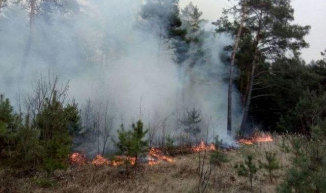 Бережіть ліс і землю від пожеж!