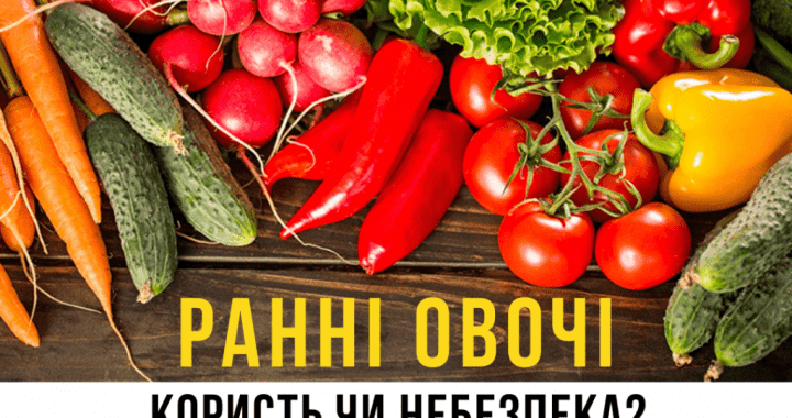 РАННІ ОВОЧІ: КОРИСТЬ ЧИ НЕБЕЗПЕКА?
