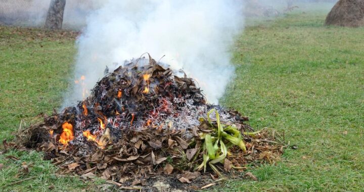 Яка відповідальність загрожує за підпал трави?