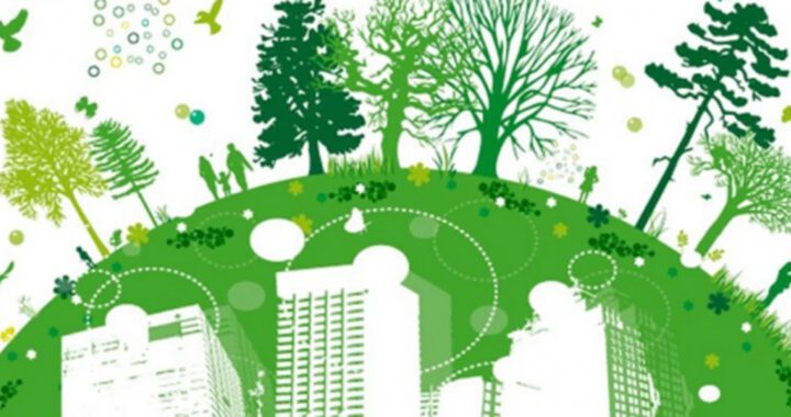 ПОВІДОМЛЕННЯ ПРО ОПРИЛЮДНЕННЯ ЗАЯВИ ПРО ВИЗНАЧЕННЯ ОБСЯГУ СТРАТЕГІЧНОЇ ОЦІНКИ ДО ПРОЄКТУ ДОКУМЕНТУ ДЕРЖАВНОГО ПЛАНУВАННЯ