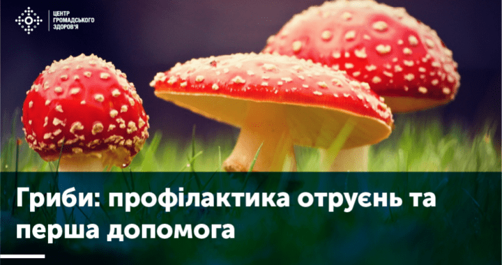 Отруєння грибами: профілактика і перша допомога