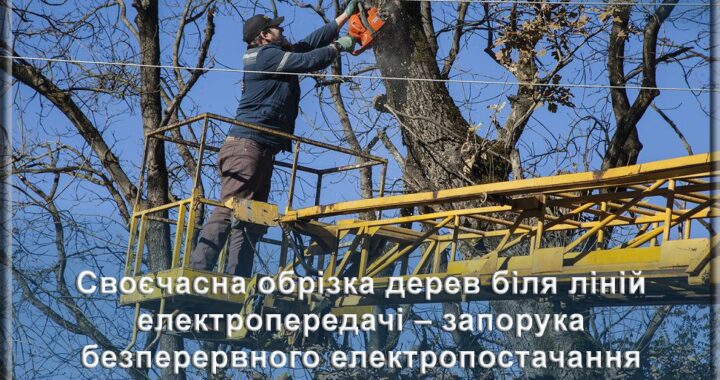 Своєчасна обрізка дерев біля ліній електропередачі – запорука безперервного електропостачання
