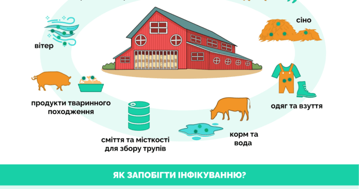 Що треба знати про ящур?