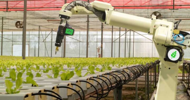 Трансфер сучасних технологій в АПК