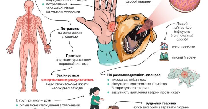 Щорічне щеплення домашніх тварин – дієвий спосіб профілактики сказу