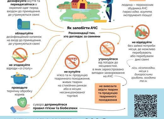 АЧС – африканська чума свиней
