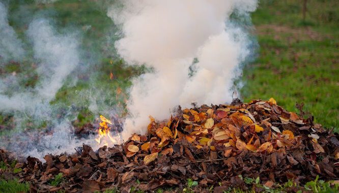 Спалювання листя: порушення санітарних норм, шкода для здоров’я та довкілля