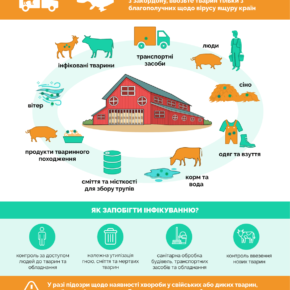 Ящур_Комерційні господарства_