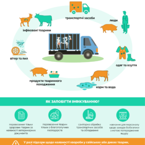 Ящур_Перевізники_