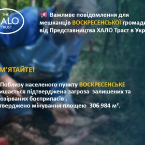 photo_5373236076119530282_y