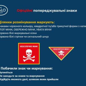 photo_5373236076119530283_y