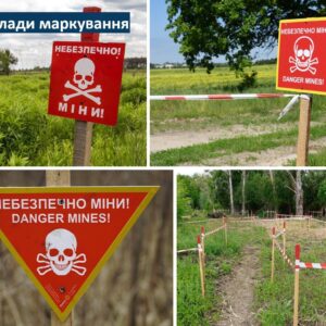 photo_5373236076119530284_y