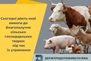 Загальні вимоги до благополуччя сільськогосподарських тварин під час їх утримання