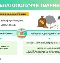 infographic-03-aw-godivlia-2