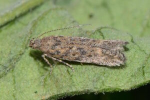 До уваги мешканців Миколаївського району!
