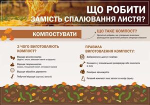 WhatsApp Image 2026-09-10 at 13.43.05 (1)